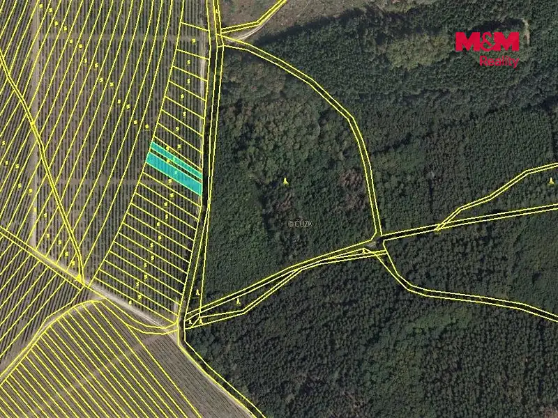 Prodej sadu, vinice 323 m², Nechvalín – náhled fotky 3