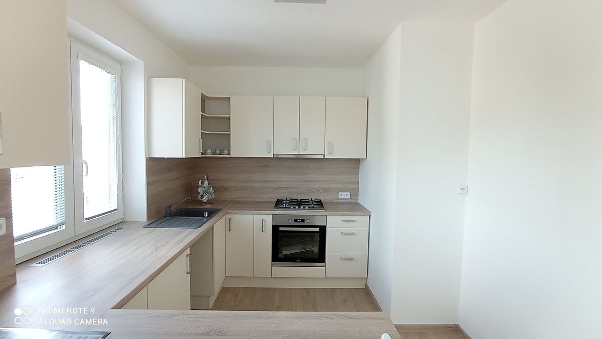Pronájem rodinného domu 250 m², pozemek 396 m² – fotografie 2