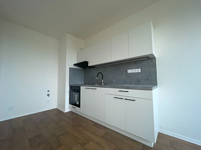 Pronájem bytu 1+kk 24 m²