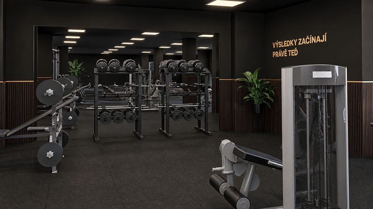 Prodej obchodního prostoru 291 m² – fotografie 4