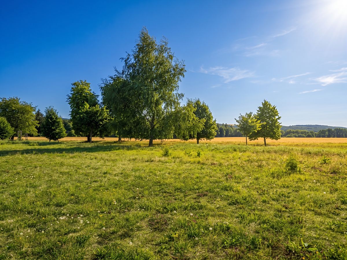 Prodej stavebního pozemku 1082 m²