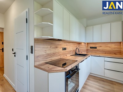 Prodej bytu 3+1 58 m²