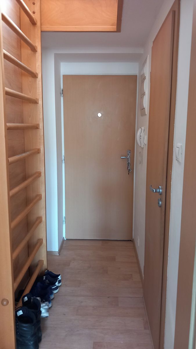 Pronájem bytu 1+kk 47 m² – fotografie 3