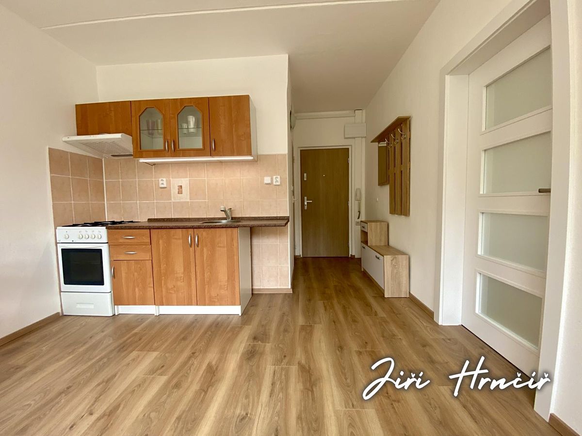 Pronájem bytu 1+1 37 m²
