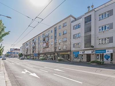Wohnung 1+1 zur Miete, 45 m² (3 von 19)