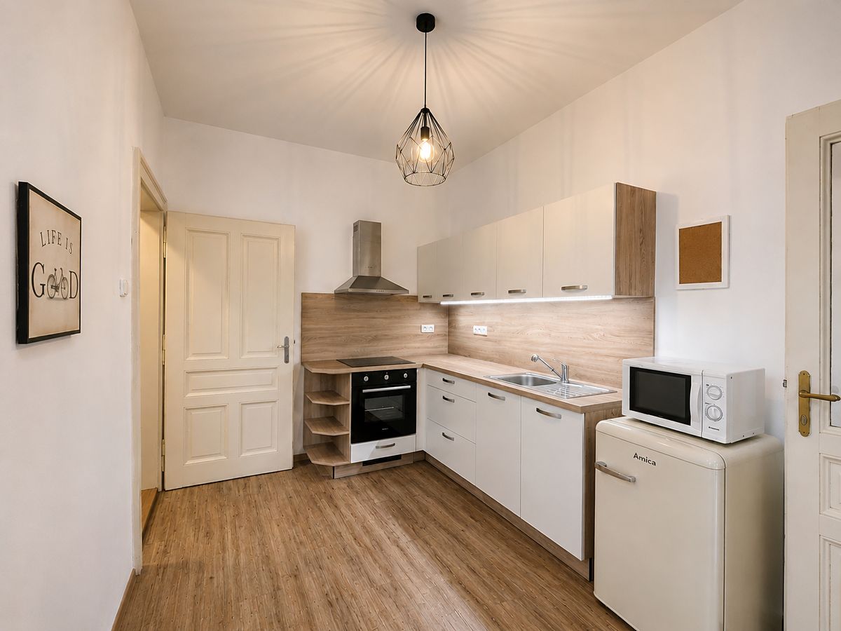 Pronájem bytu 1+1 47 m²