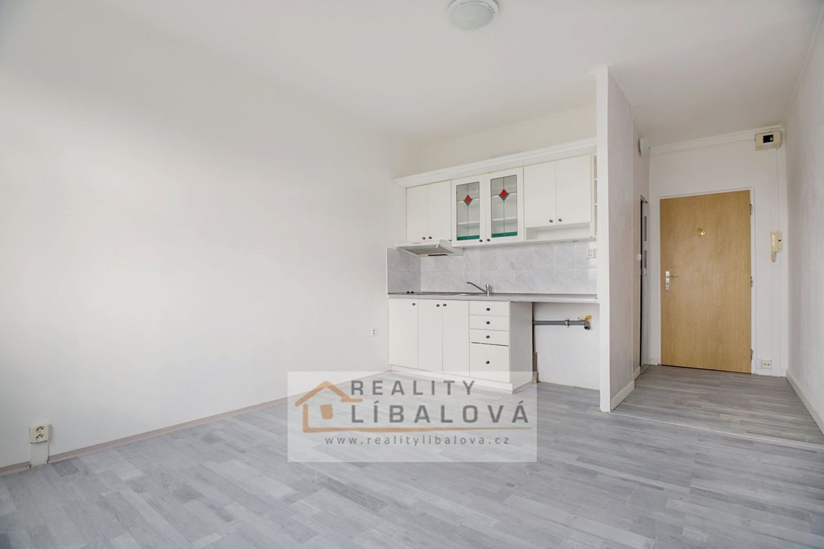 Pronájem bytu 1+kk 20 m²