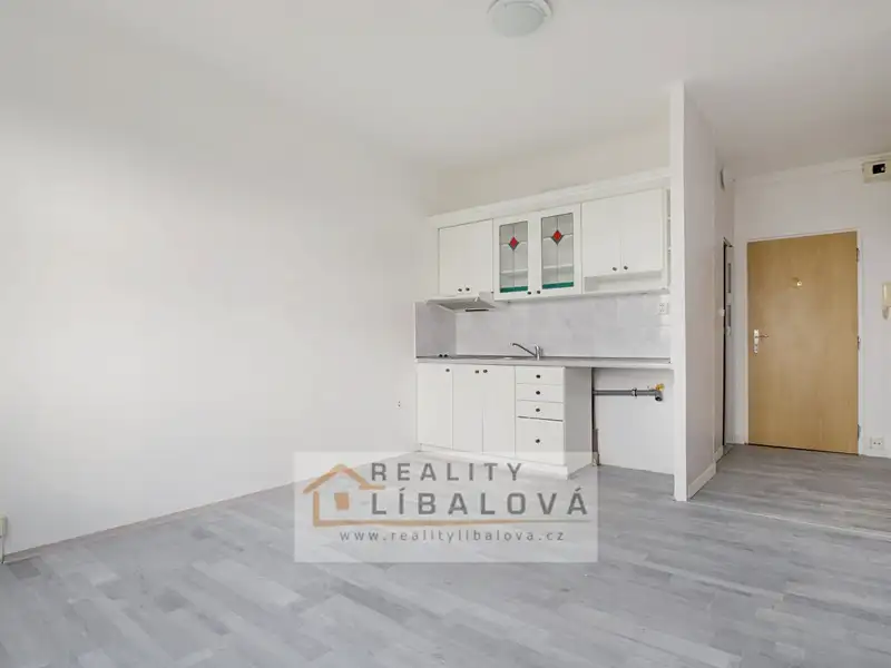 Pronájem bytu 1+kk 20 m², Ústí nad Labem – náhled fotky 1