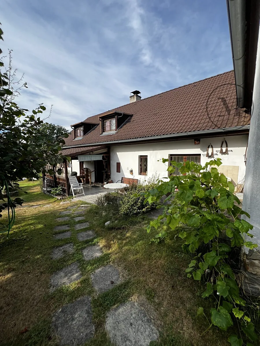 Fotka 10 z 16