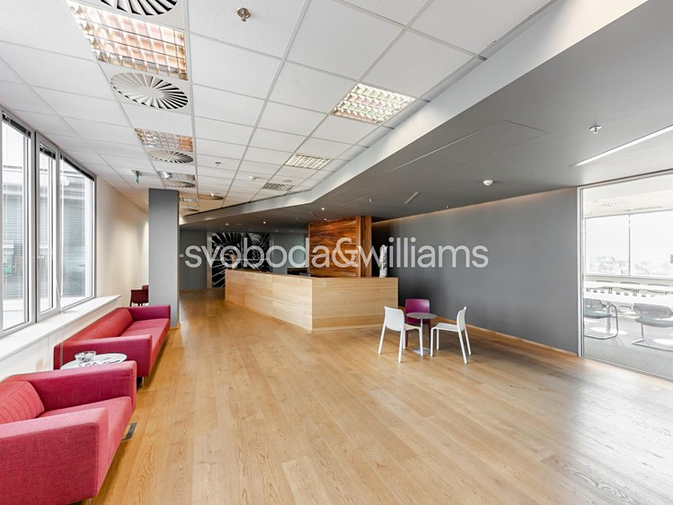 Pronájem komerčního prostoru, 898 m² (9 z 14)