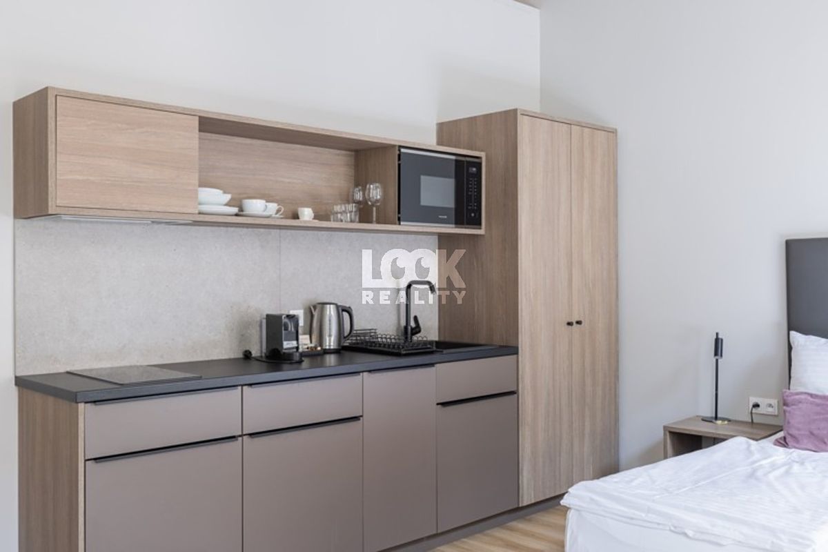 Pronájem bytu 1+kk 26 m² – fotografie 3