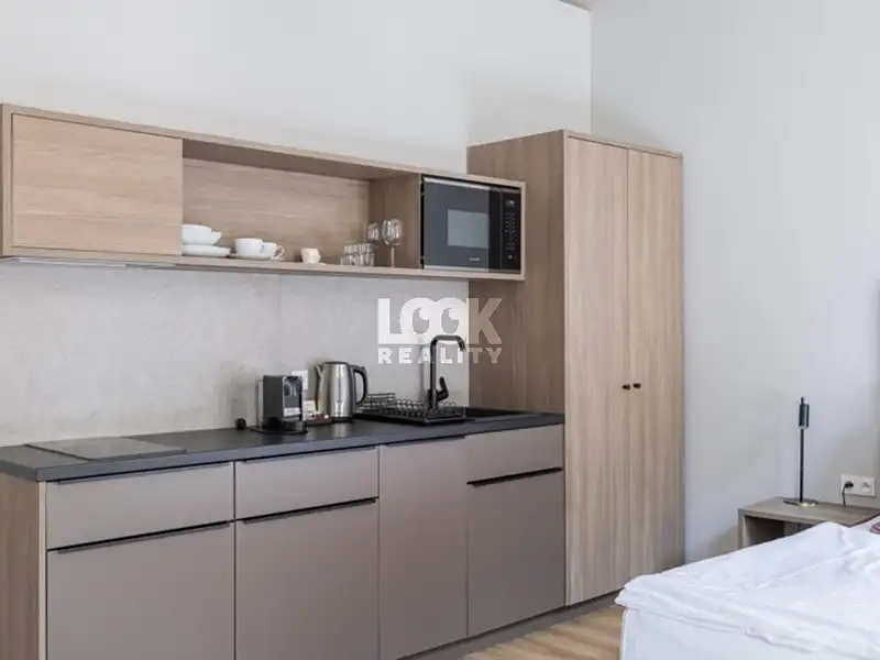 Pronájem bytu 1+kk 26 m², Praha – náhled fotky 3