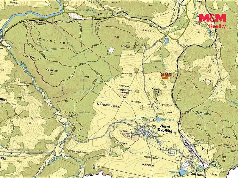Prodej louky 3918 m², Horní Dvořiště – náhled fotky 2