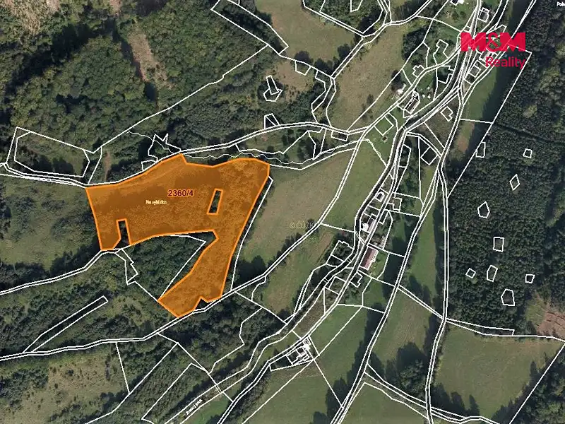 Prodej lesa 23052 m², Vápenná – náhled fotky 3