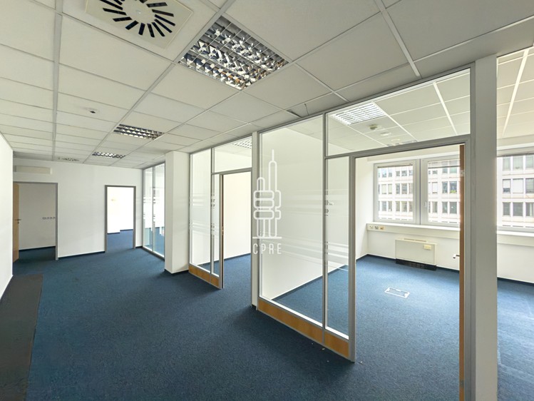 Комерційне приміщення в оренду, 497 м² (4 з 10)