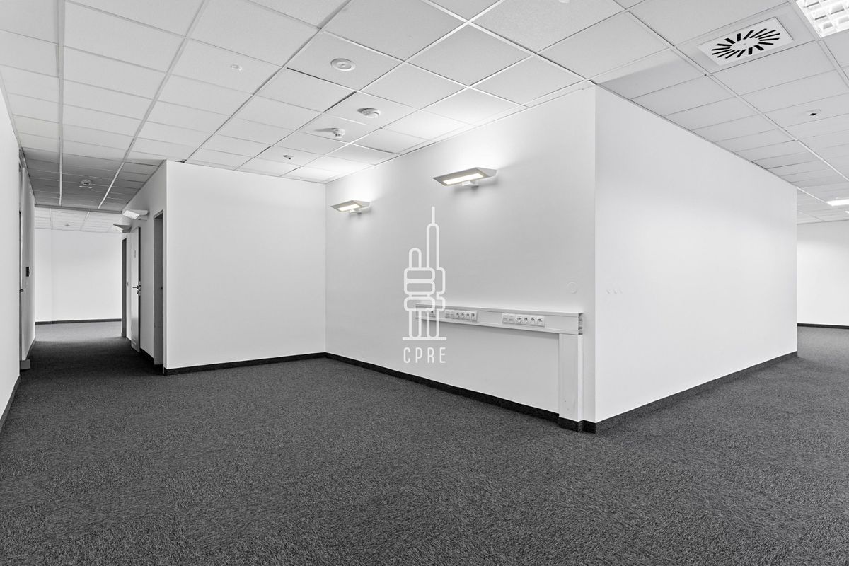Pronájem kanceláře 342 m² – fotografie 5