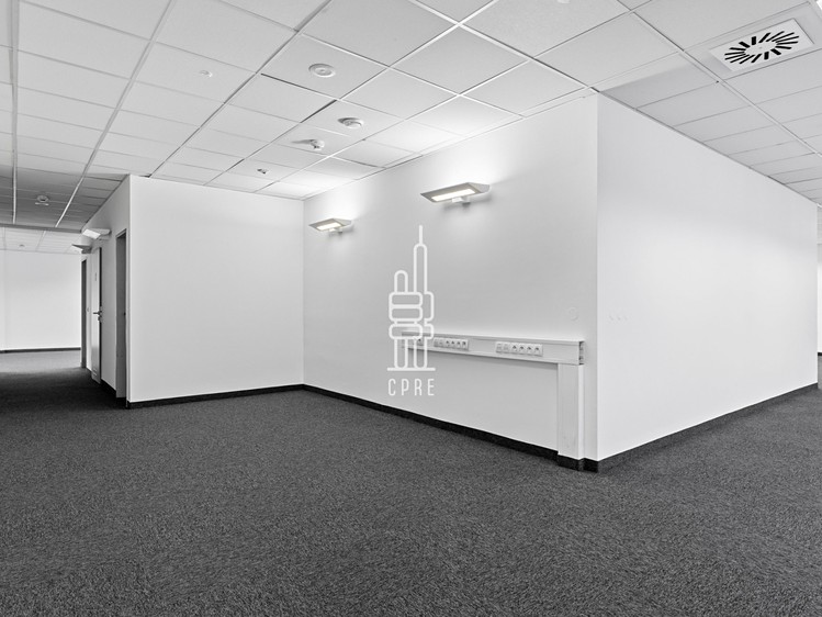 Pronájem komerčního prostoru, 342 m² (5 z 10)