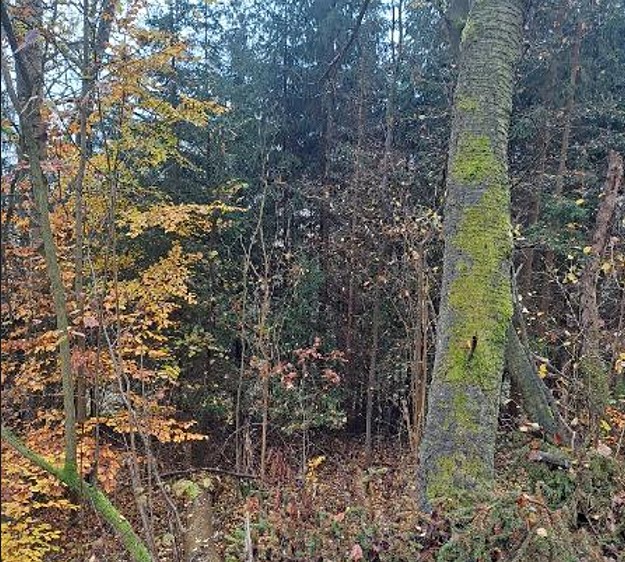 Prodej pozemku, 2 755 m² (2 z 5)