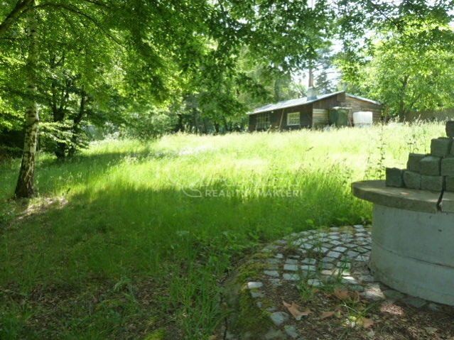 Ділянка в оренду, 4 139 м² (3 з 10)
