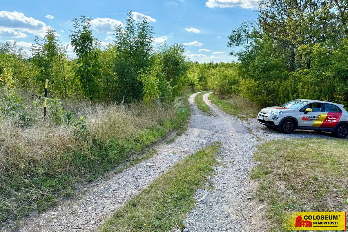 Prodej komerčního pozemku 21190 m² – fotografie 3