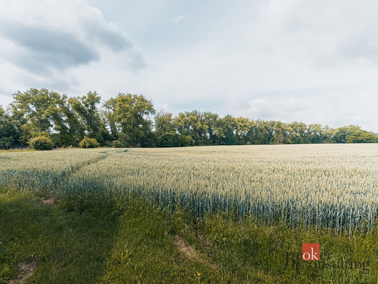 Grundstück zum Kauf, 2.400 m² (5 von 11)