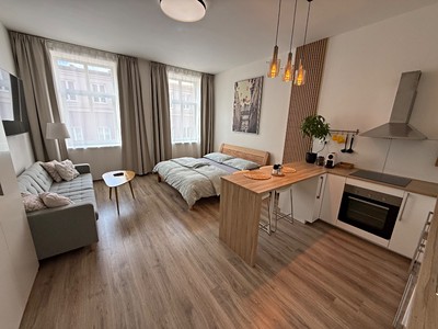 Pronájem bytu 1+kk 40 m²
