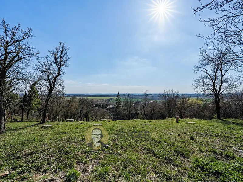 Prodej stavebního pozemku 3158 m², Střemy – náhled fotky 3