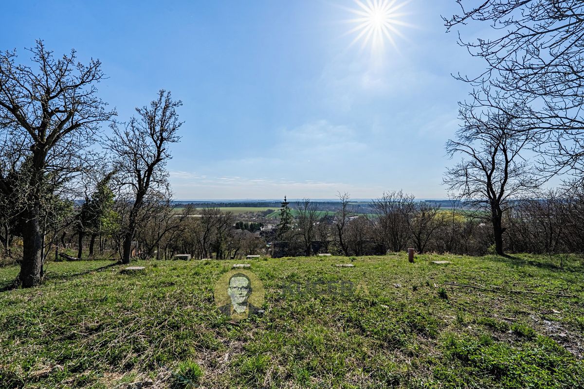 Prodej rodinného domu 100 m², pozemek 3158 m² – fotografie 3