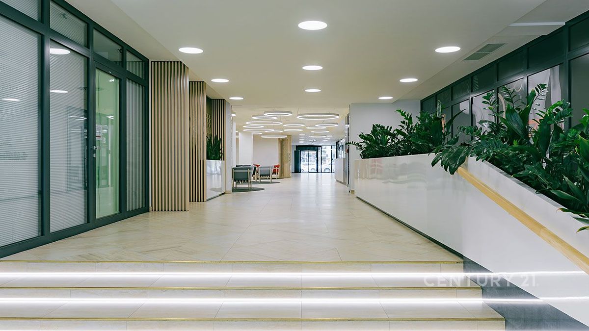 Pronájem kanceláře 497 m² – fotografie 3