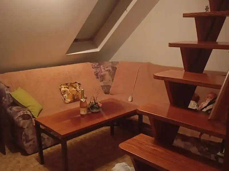 Prodej rodinného domu 450 m², pozemek 680 m², Slavkov u Brna – náhled fotky 2