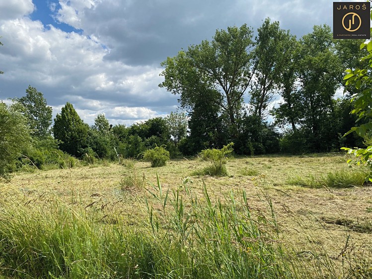 Grundstück zum Kauf, 2.641 m² (3 von 5)