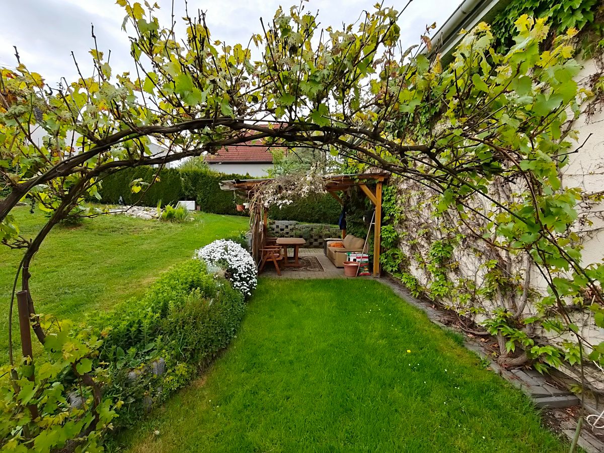 Prodej rodinného domu 115 m², pozemek 540 m² – fotografie 3