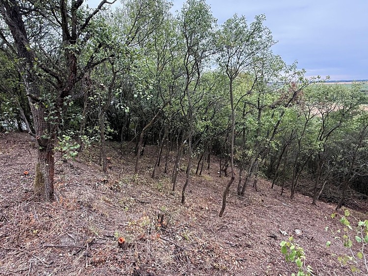 Prodej pozemku, 464 m² (2 z 7)