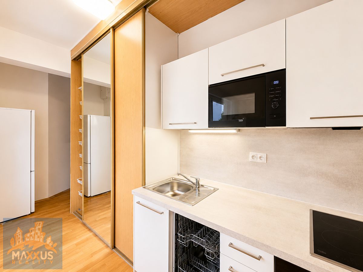 Pronájem bytu 1+kk 48 m²