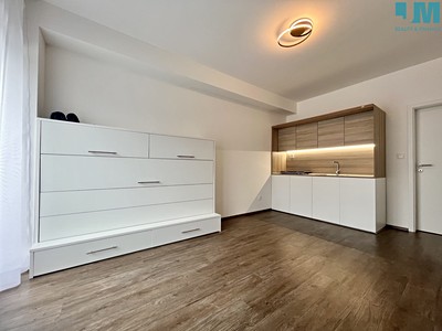 Wohnung 1+kk zur Miete, 24 m² (2 von 20)