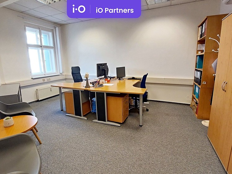 Pronájem komerčního prostoru, 234 m² (7 z 7)