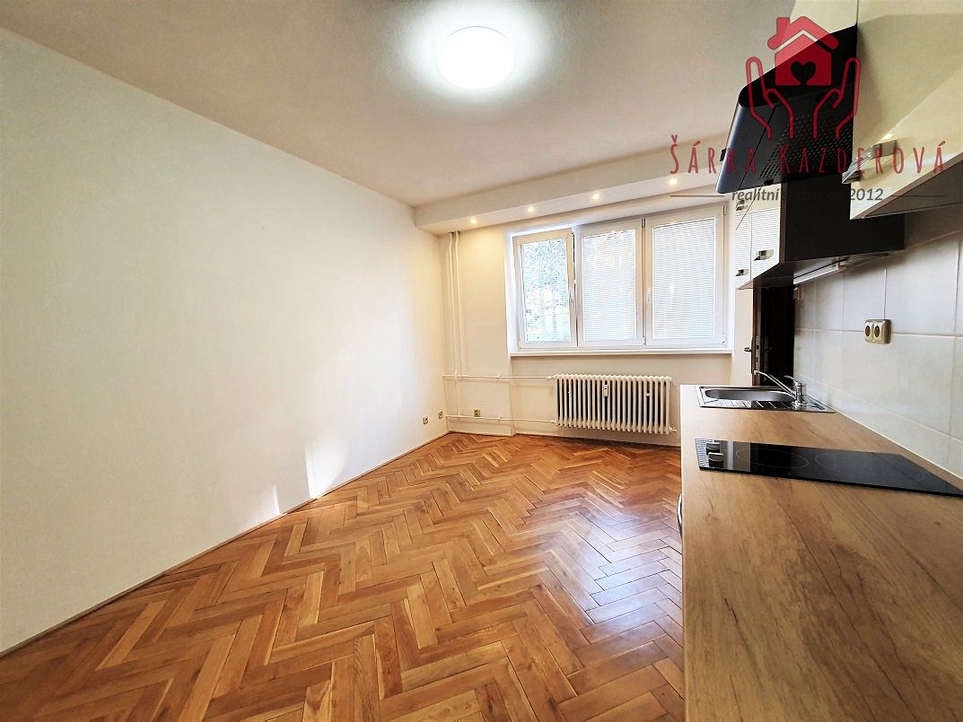 Pronájem bytu 1+kk 23 m²