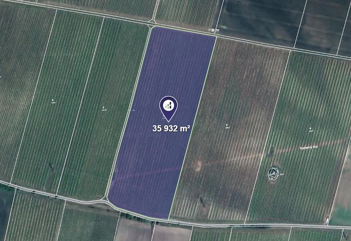 Prodej sadu, vinice 35932 m², Sedlec – fotka 1 z 3