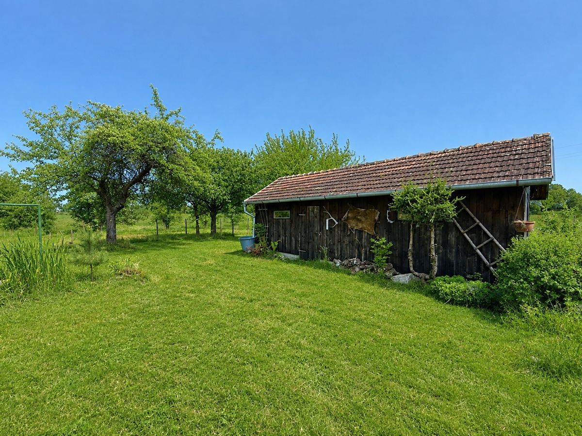 Prodej rodinného domu 75 m², pozemek 4810 m² – fotografie 3