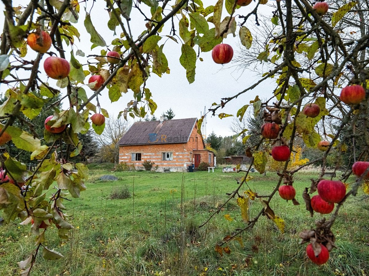 Prodej rodinného domu 90 m², pozemek 3037 m² – fotografie 5