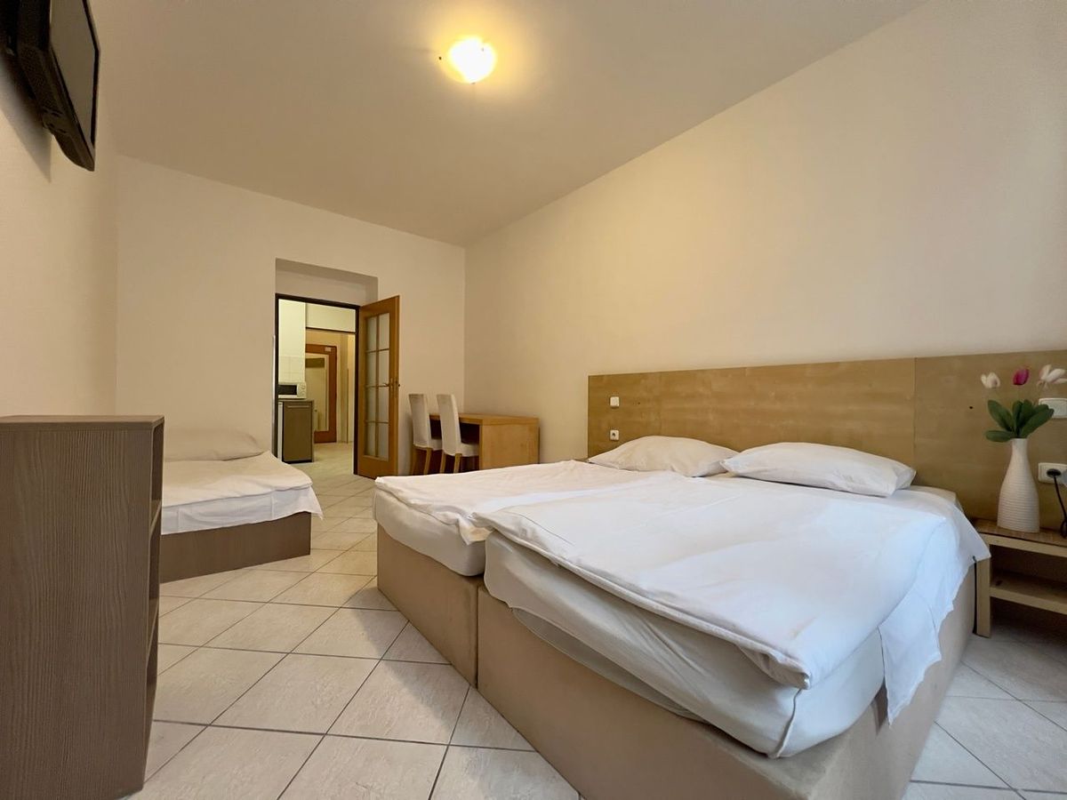 Pronájem bytu 1+1 45 m²