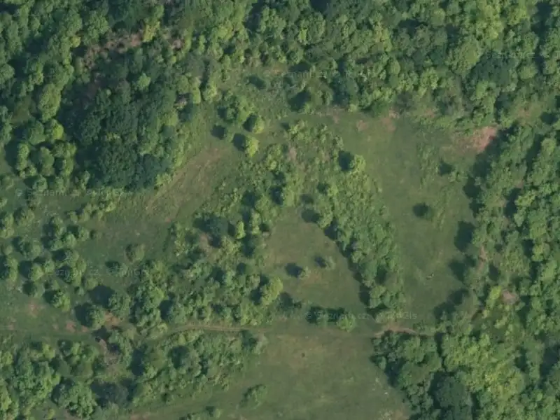 Dražba louky 2591 m², Klášterec nad Ohří – náhled fotky 3
