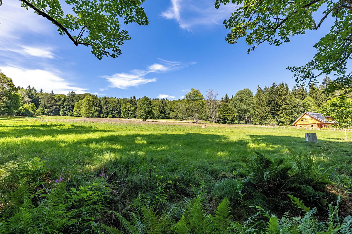 Prodej stavebního pozemku 1816 m² – fotografie 4