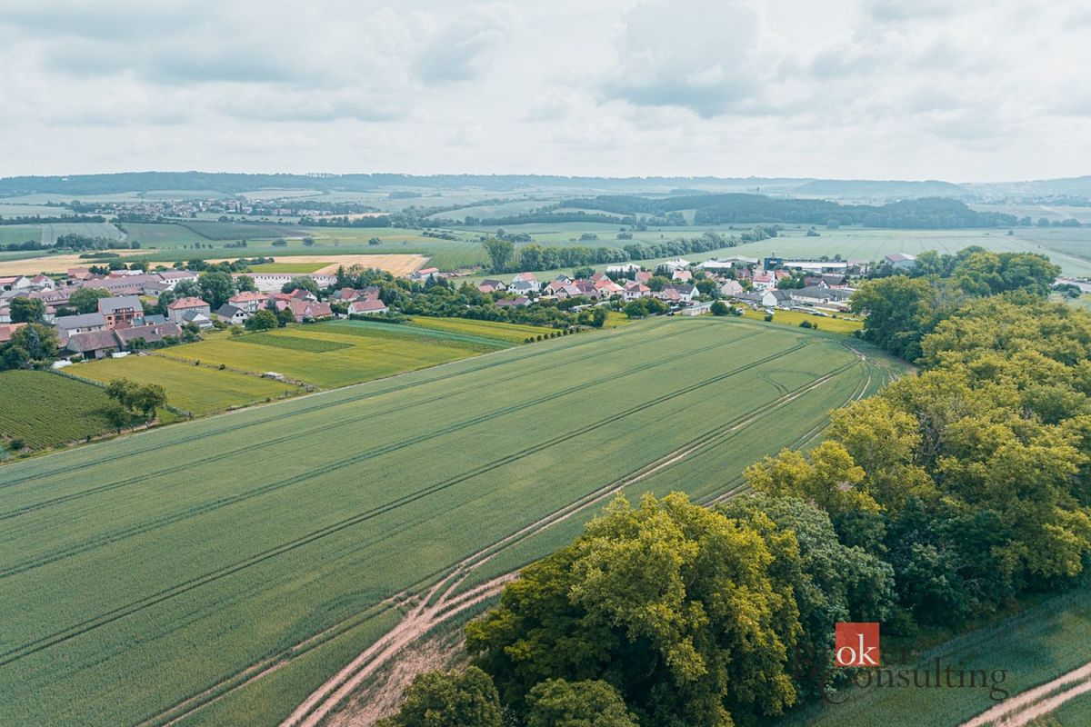 Prodej stavebního pozemku 2400 m², Nesuchyně – fotka 1 z 3