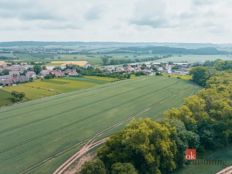 Prodej stavebního pozemku 2400 m², Nesuchyně – náhled fotky 1