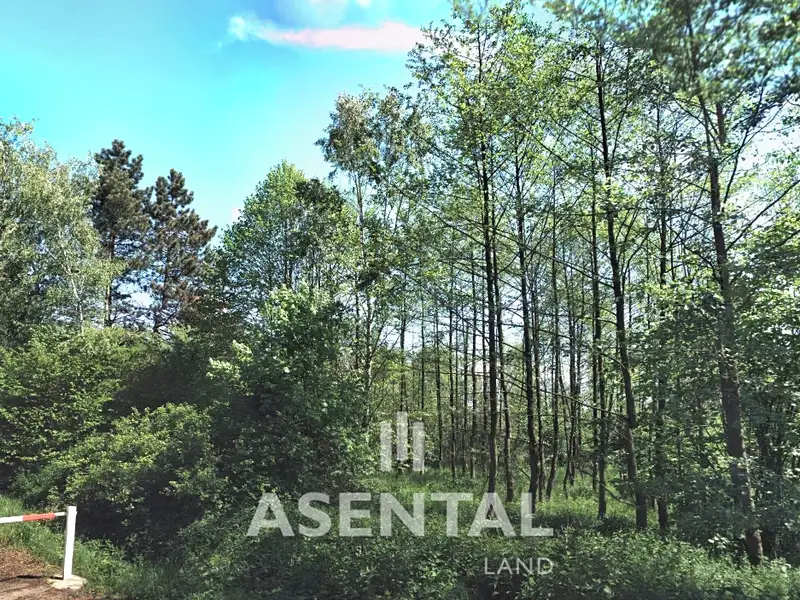 Prodej pozemku 5111 m², Stonava – náhled fotky 1