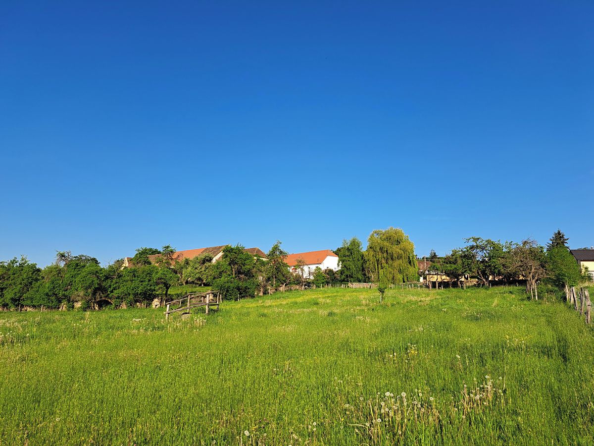 Prodej zemědělské usedlosti 167 m², pozemek 11506 m² – fotografie 4
