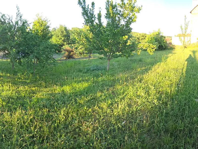 Prodej stavebního pozemku 799 m², Borkovany – náhled fotky 2