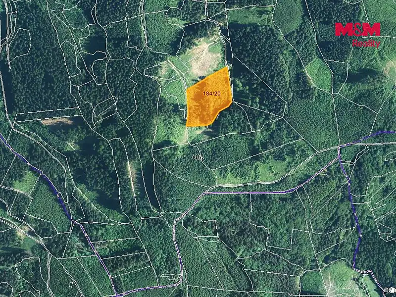 Prodej lesa 16820 m², Lhota u Vsetína – náhled fotky 3