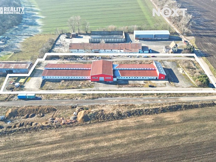 Pronájem komerčního prostoru, 2 417 m² (4 z 19)